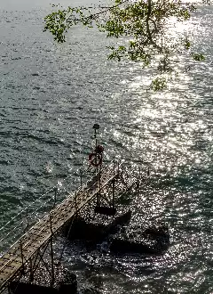 SAI WAN SWIMMING SHED PHOTOGRAPHY GUIDE