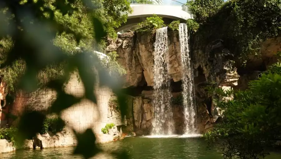 HONG KONG PARK